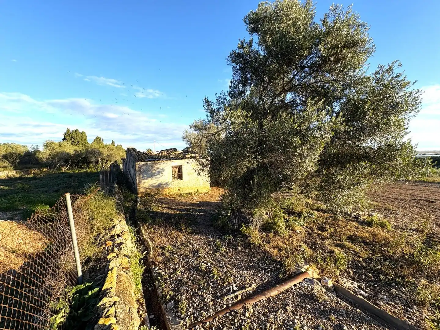 Finca rústica en venta en Nord