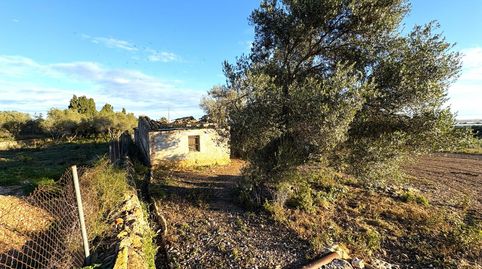 Foto 3 de Finca rústica en venta en Nord, La Ràpita