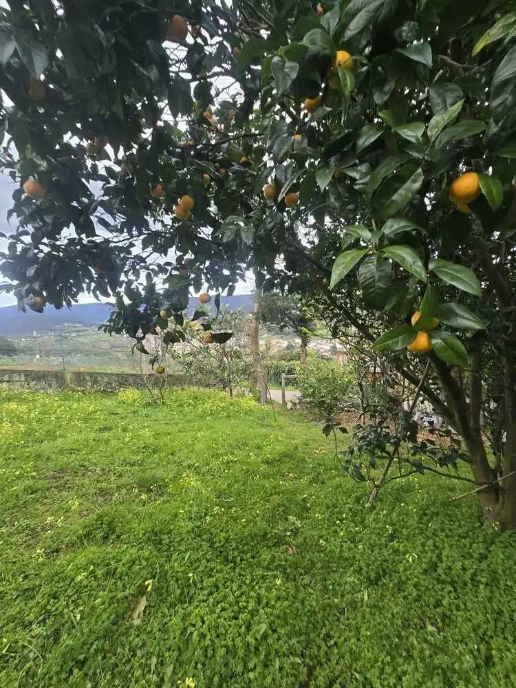 Terrenys i solars en venda a Cedeira, imagen 5
