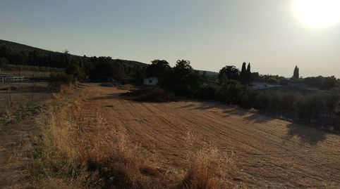 PARCELA RUSTICA MUY CERCA DE CABRA, immagine 3