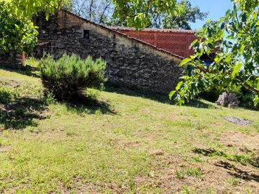 Terreno rústico en venta en Jarandilla de la Vera