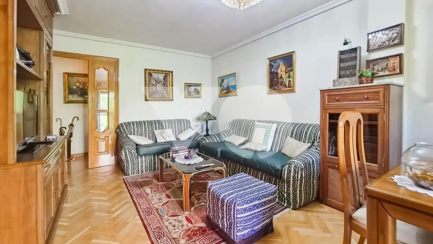 Sala d'estar de Pis en venda en Madrid amb Aire condicionat, Calefacció i Parquet