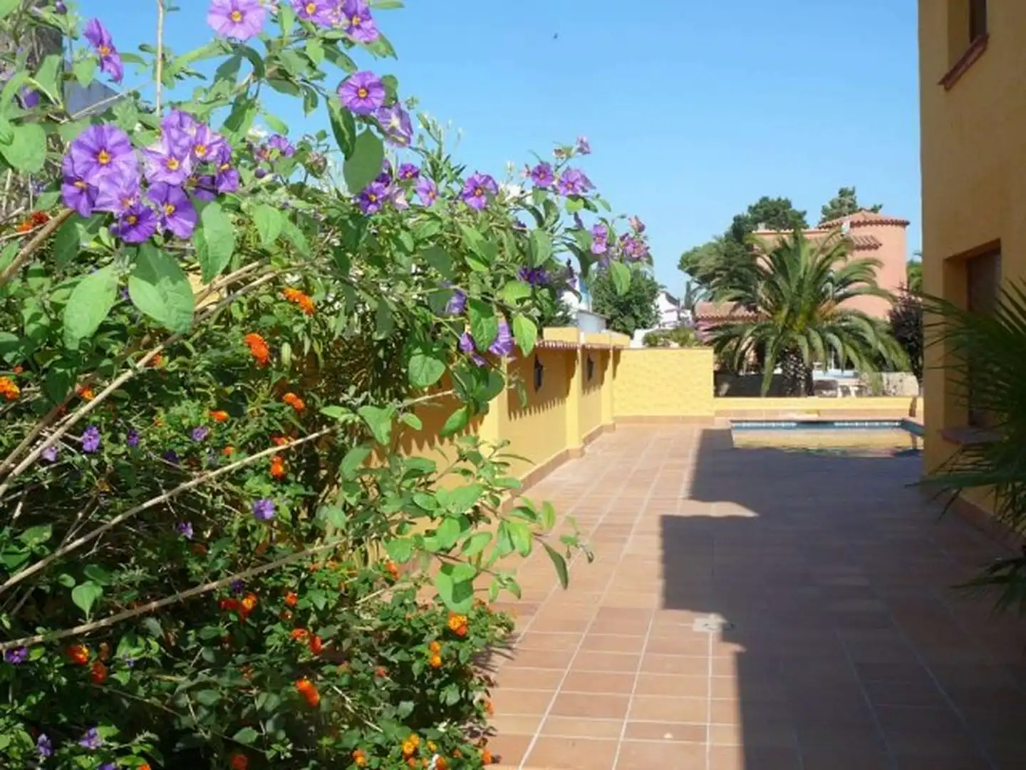 Casa con un gran potencial, dividida en dos apartamentos , ideal para alquiler., imatge 3