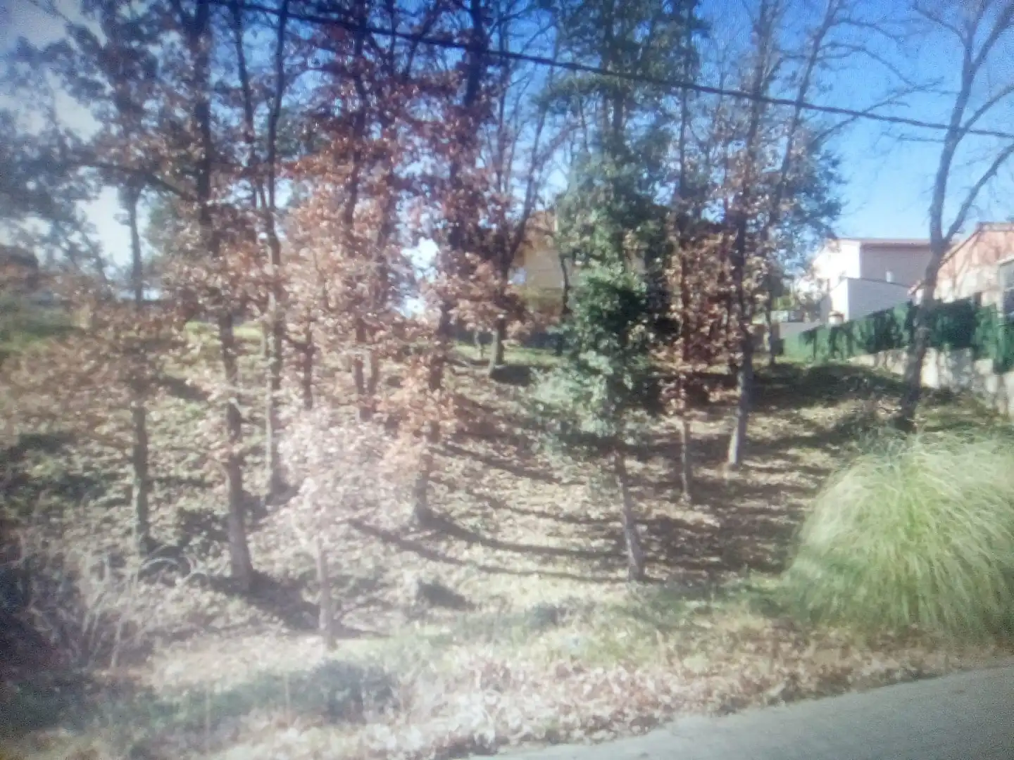 Terrain résidentiel à vendre à Carrer de l'Avet, imagen 3