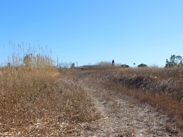 Terrenys i solars en venda a El Grao