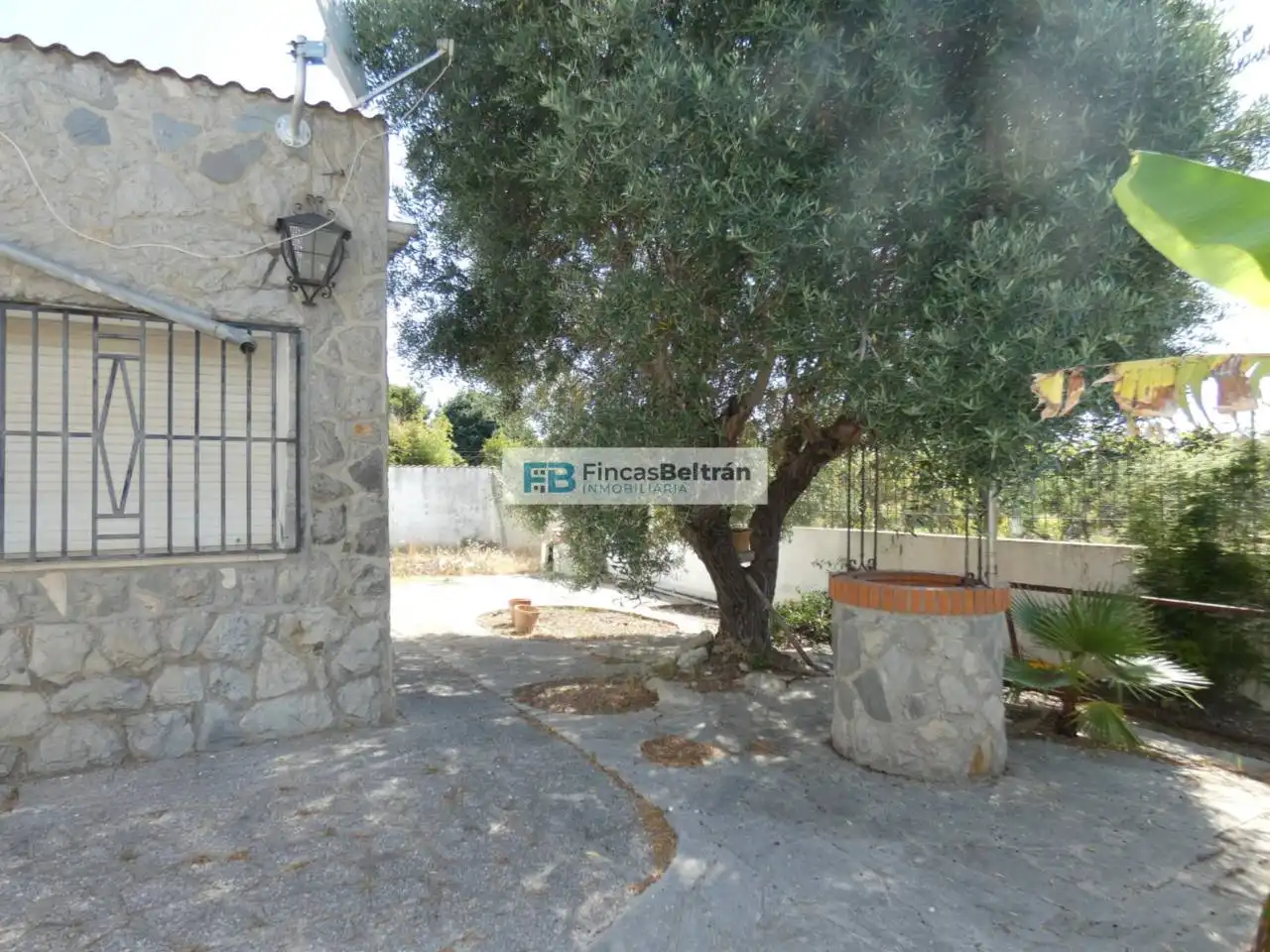 Vista exterior de Finca rústica en venda en Benicarló amb Jardí privat i Terrassa
