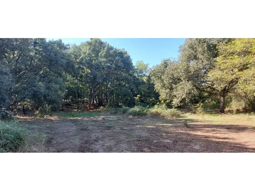 Maison à vendre à Poligono 39 Paraje 484 Rivera Avid, imagen 11