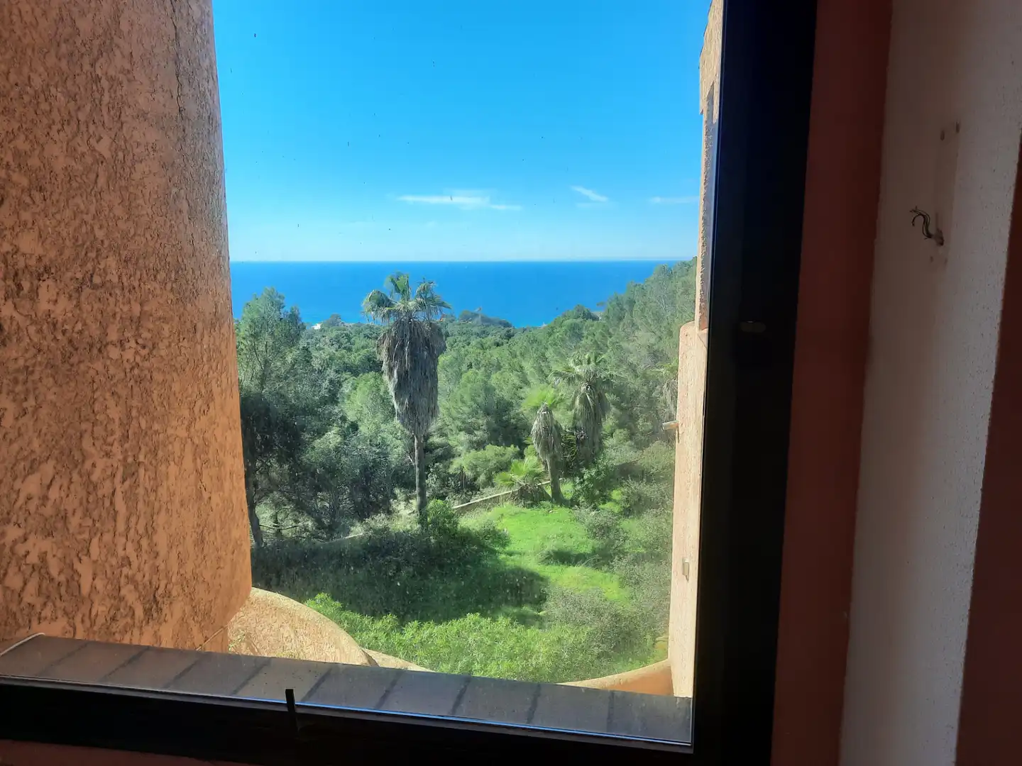Jardín de Casa o chalet en venta en Calvià con Jardín privado, Terraza y Piscina