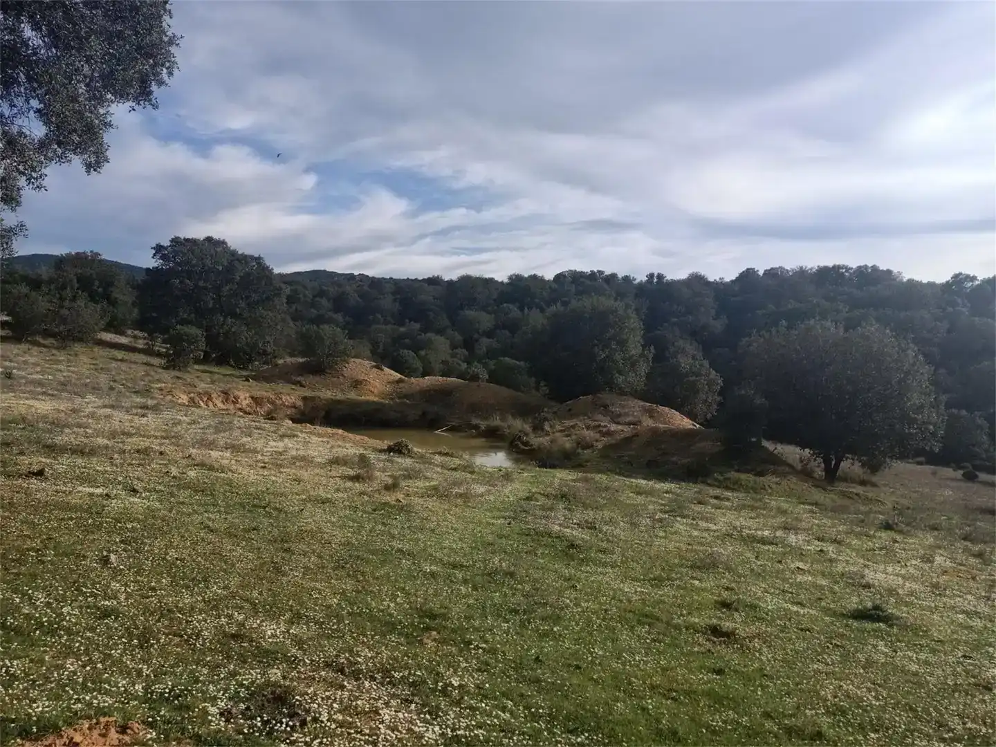 Terreno en venta en Fuenlabrada de los Montes, Badajoz