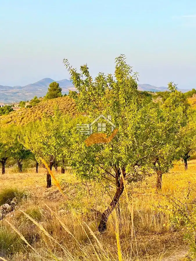 Country house for sale in Vélez-Rubio, imagen 6