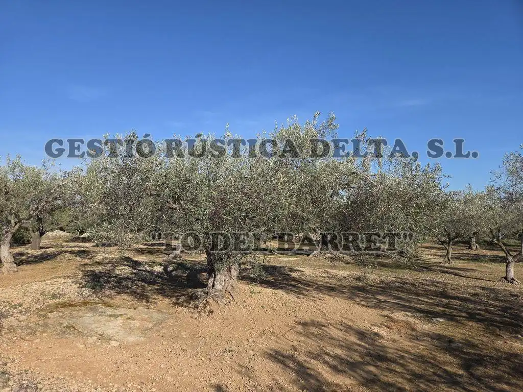 Finca rústica en venda en L'Ampolla amb Terrassa