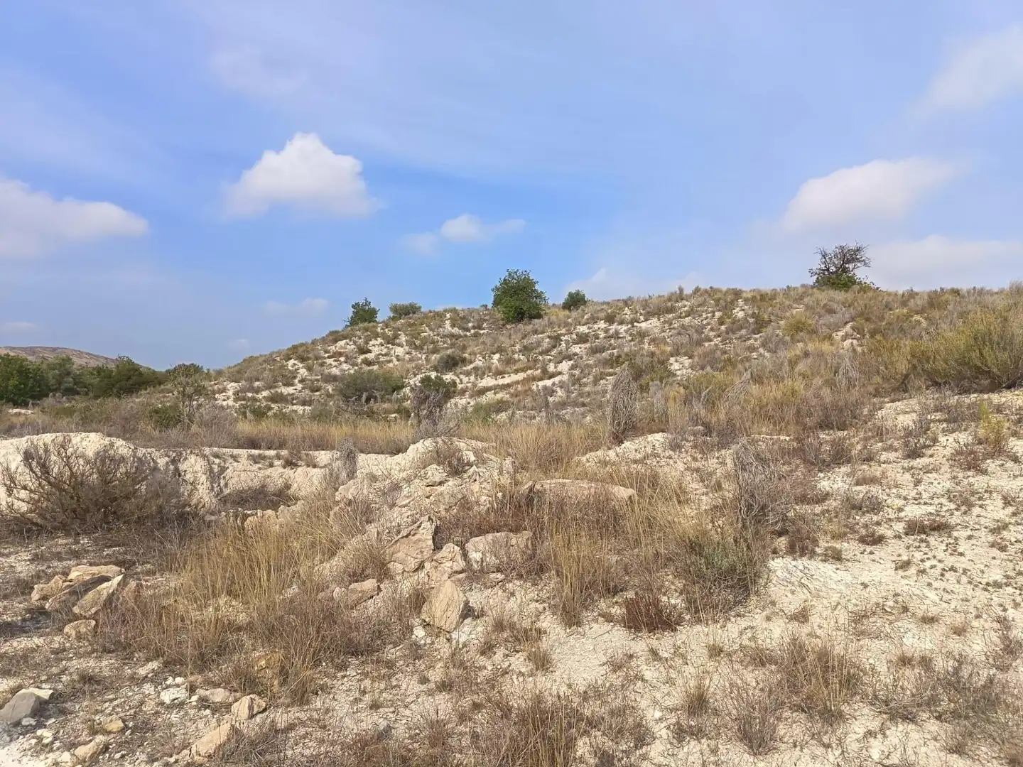 Residencial en venda en Alicante / Alacant