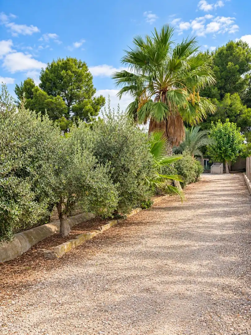 Casa rústica amb jardí en venda a Alguazas, imagen 41