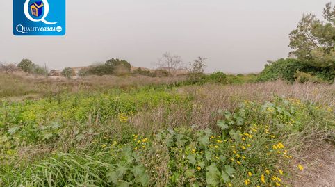 Foto 5 de Finca rústica en venta en Fontcalent, Alicante / Alacant