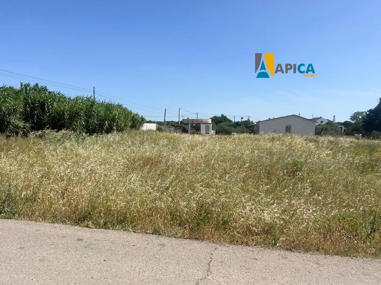 Rural land for sale in Barrio Nuevo