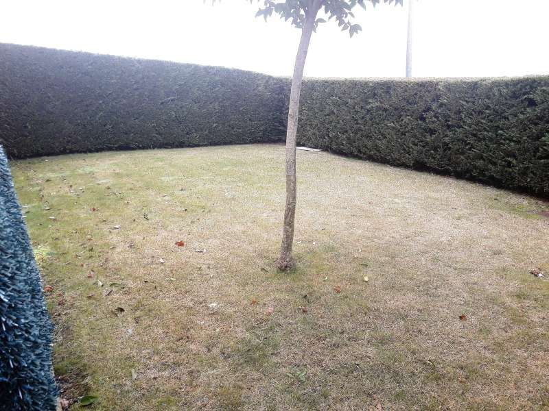 Casa o xalet en venda en Cirueña amb Jardí privat, Terrassa i Piscina