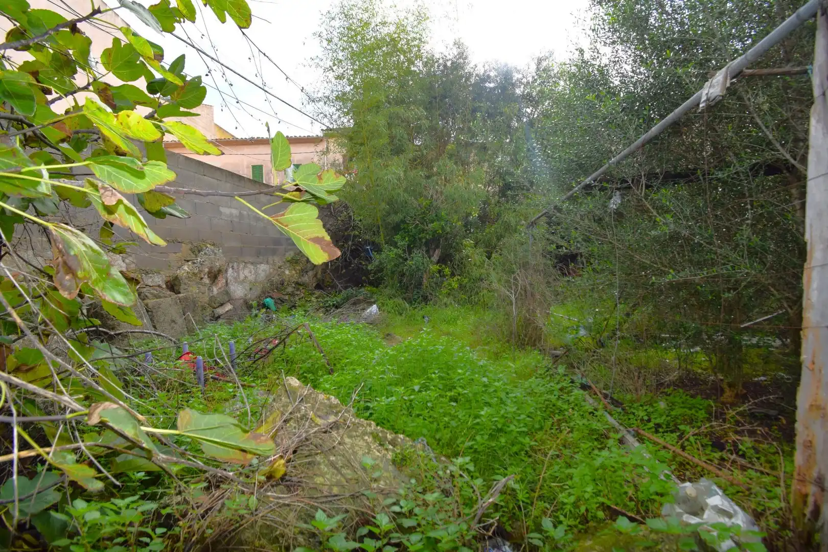 House with garden for sale in Calle Santa Anna, imagen 18