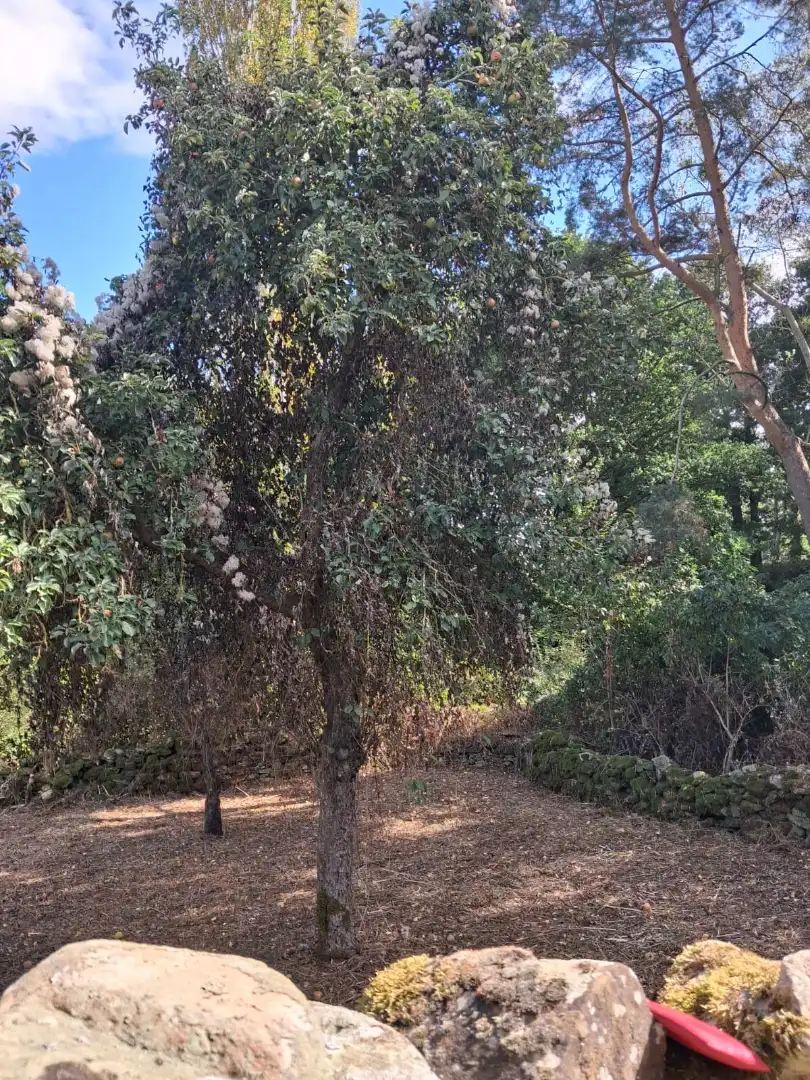 Casa o xalet en venda en Espinosa de los Monteros amb Jardí privat, Terrassa i Balcó