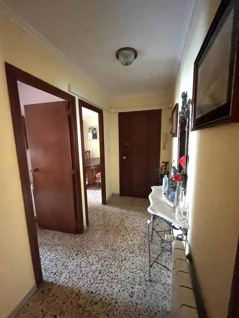 Pis amb terrassa en venda a Pla - Carolinas, imagen 4