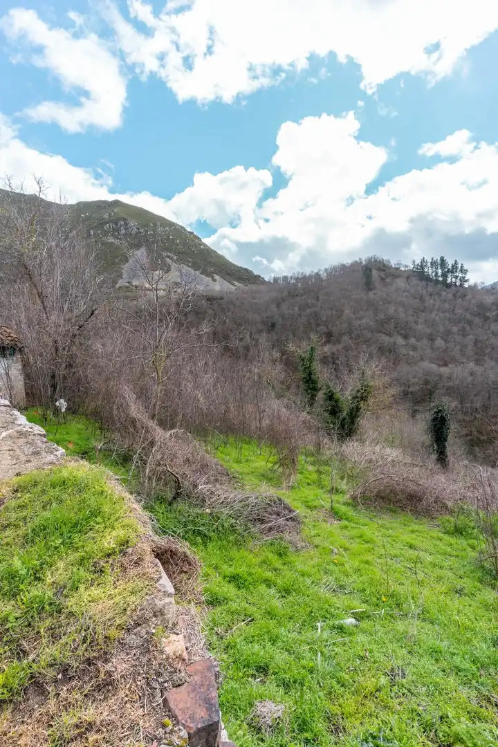 Casa o chalet en venta en Somiedo con Calefacción y Jardín privado