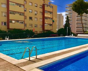 Piscina de Estudi per a compartir en Benidorm amb Aire condicionat i Terrassa