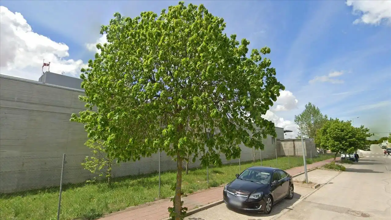 Parking avec ascenseur à vendre à Duque De Riansares, imagen 10