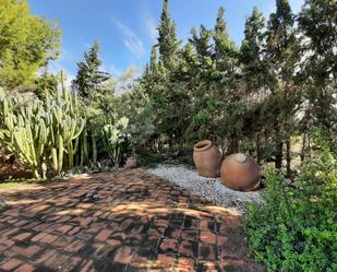 Jardí de Finca rústica en venda en Lorca amb Terrassa i Piscina