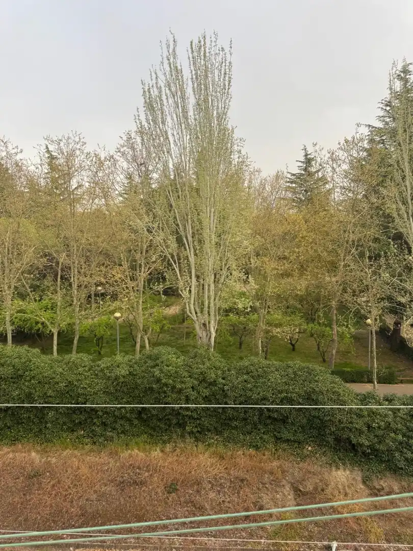 Garden of Flat for rent in Salamanca  with Air Conditioner, Heating and Furnished