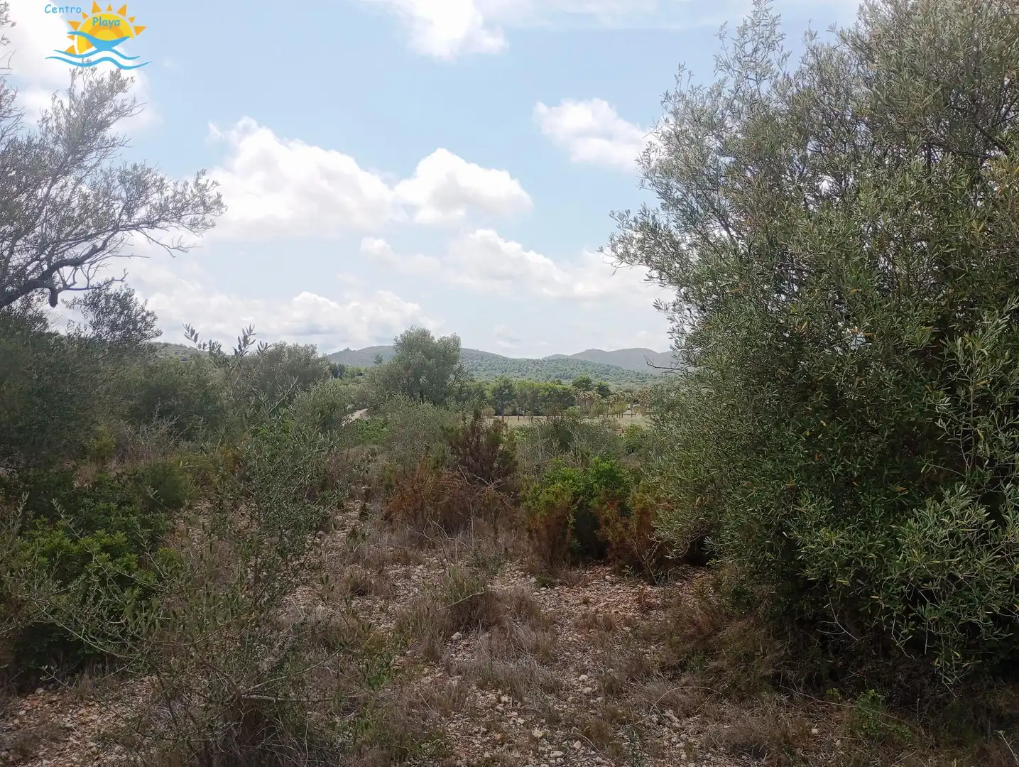 Maison rustique à vendre à CALIG CASTELLON 12589, imagen 17