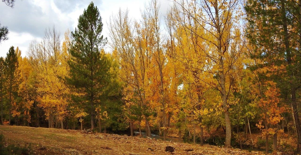 Vista exterior de Finca rústica en venda en Villar de Olalla