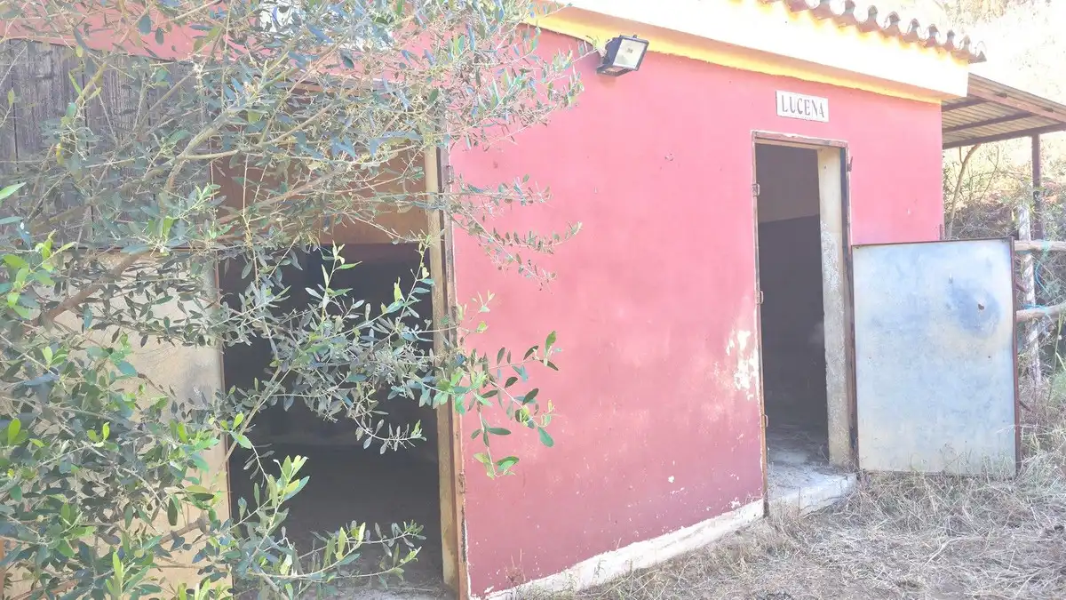 Casa con jardín en venta en La Cala Golf - Lagar Martell, imagen 41