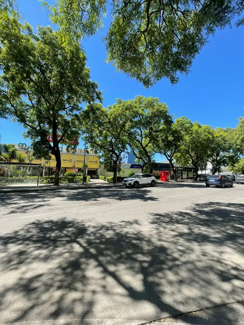 Piso con terraza en venta en Avenida Cruz Roja 8d, imagen 5