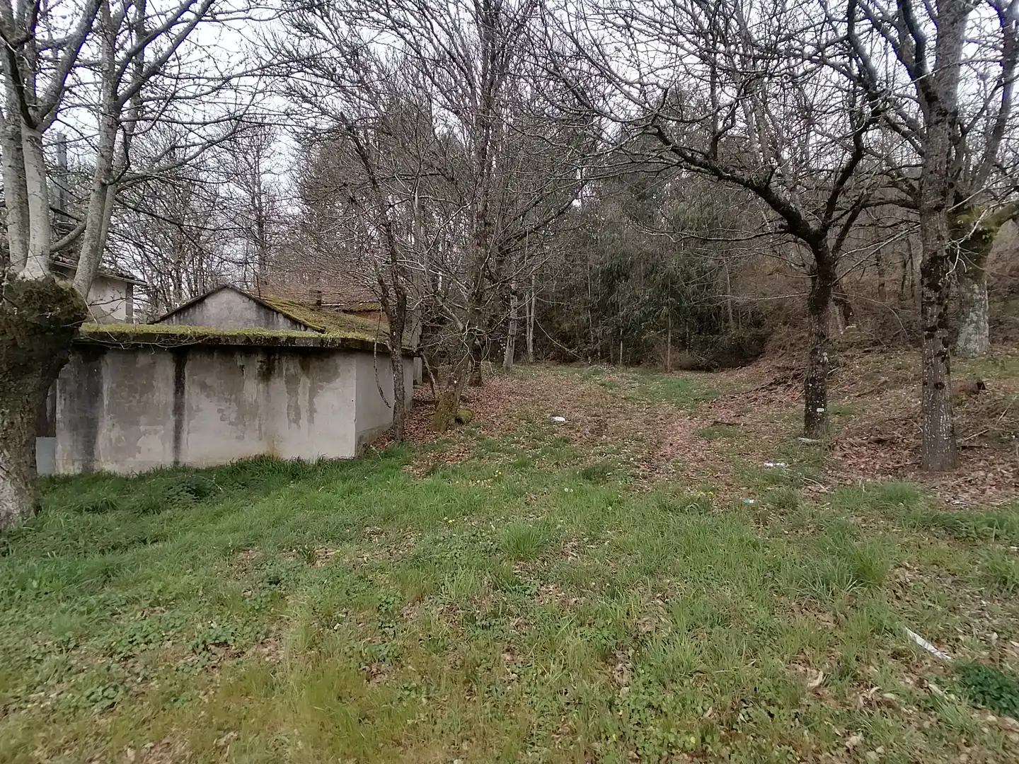 Casa rústica amb jardí en venda a Taboada, imagen 35