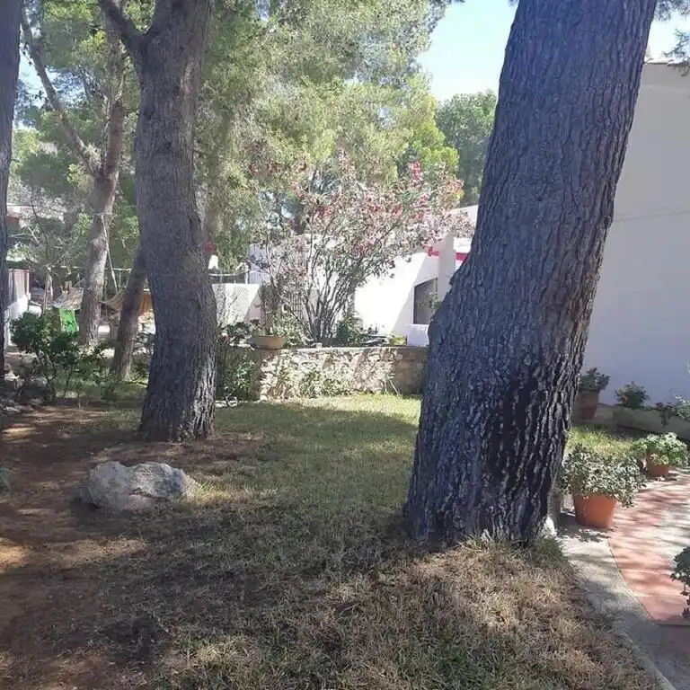 Xalet amb jardí en venda a Calafat, imagen 34