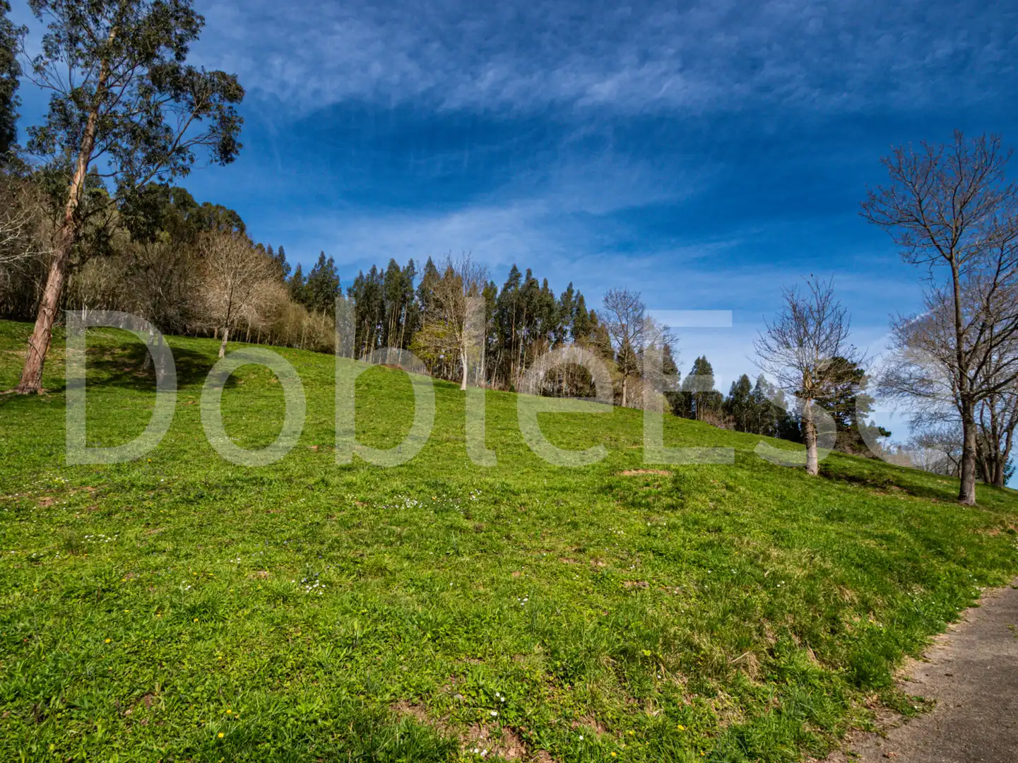 Terreny residencial en venda a Colunga - Barrio de Linares - Colunga 31, imagen 20