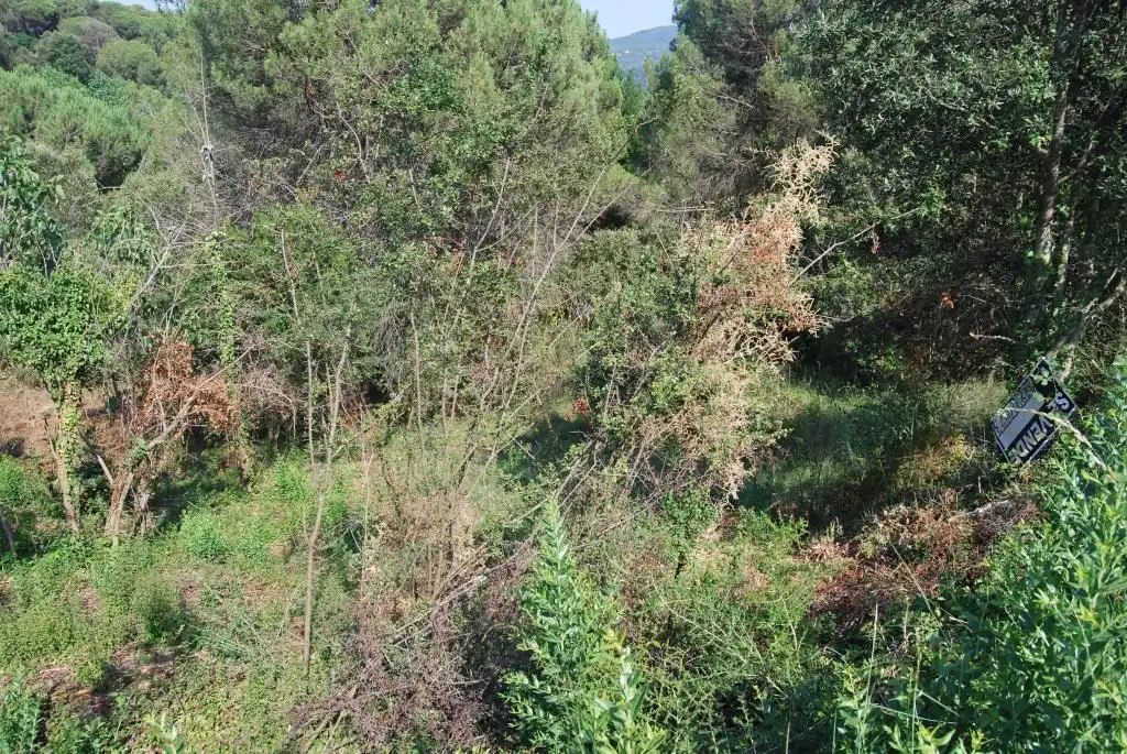 Terreny rústic en venda a Sant Celoni, imagen 31