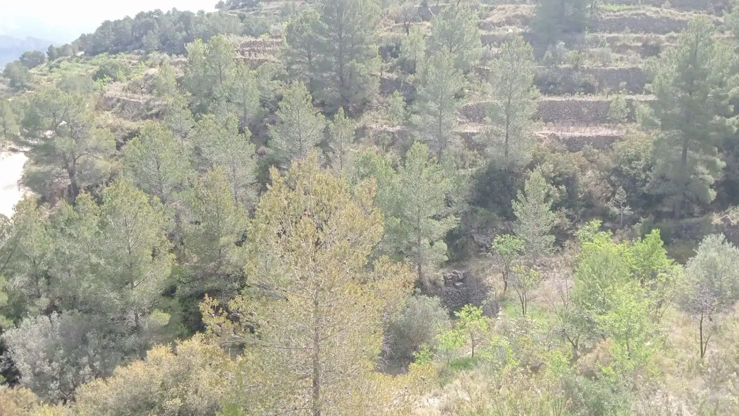 Casa o xalet en venda en Sella