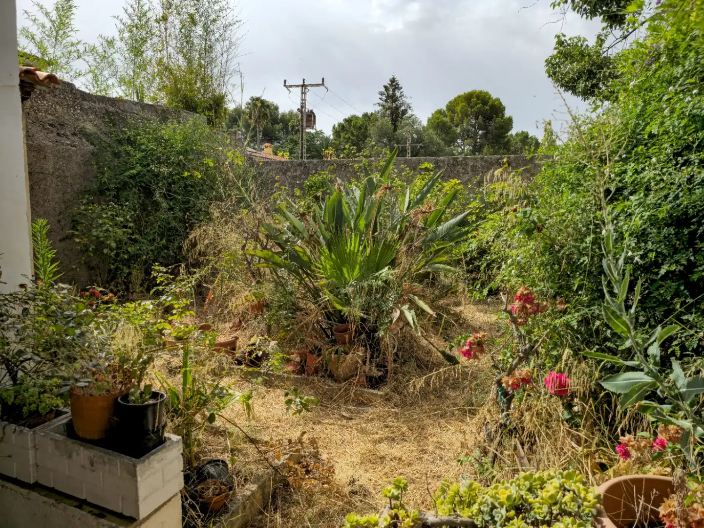 Maison rustique avec terrasse à vendre à Sagra, imagen 9
