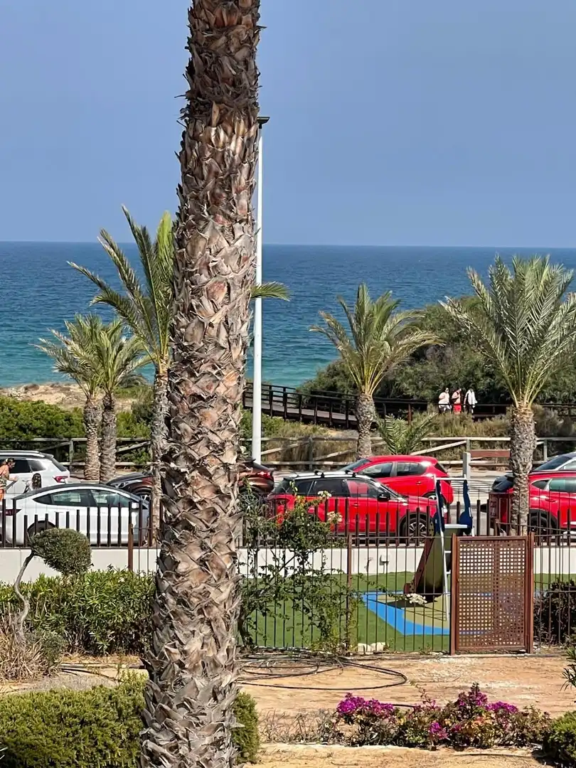 Außenansicht von Haus oder Chalet zur Miete in Elche / Elx mit Klimaanlage, Heizung und Privatgarten