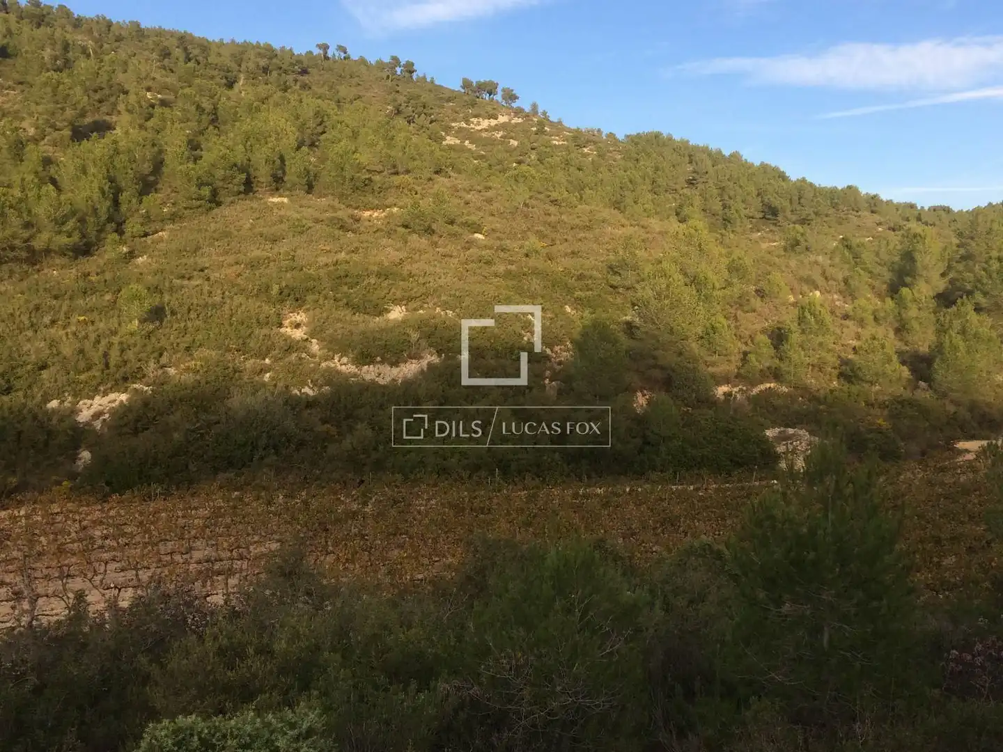 Casa rustica in vendita a Castellet i la Gornal, imagen 31