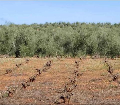 Photo 2 of Residential for sale in Casco Antiguo, Badajoz Capital