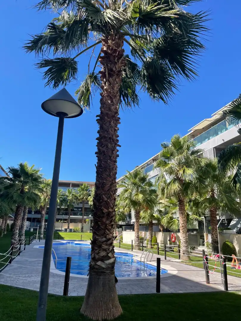 Apartment mit Aufzug zur Miete in Cuarte de Huerva, imagen 12