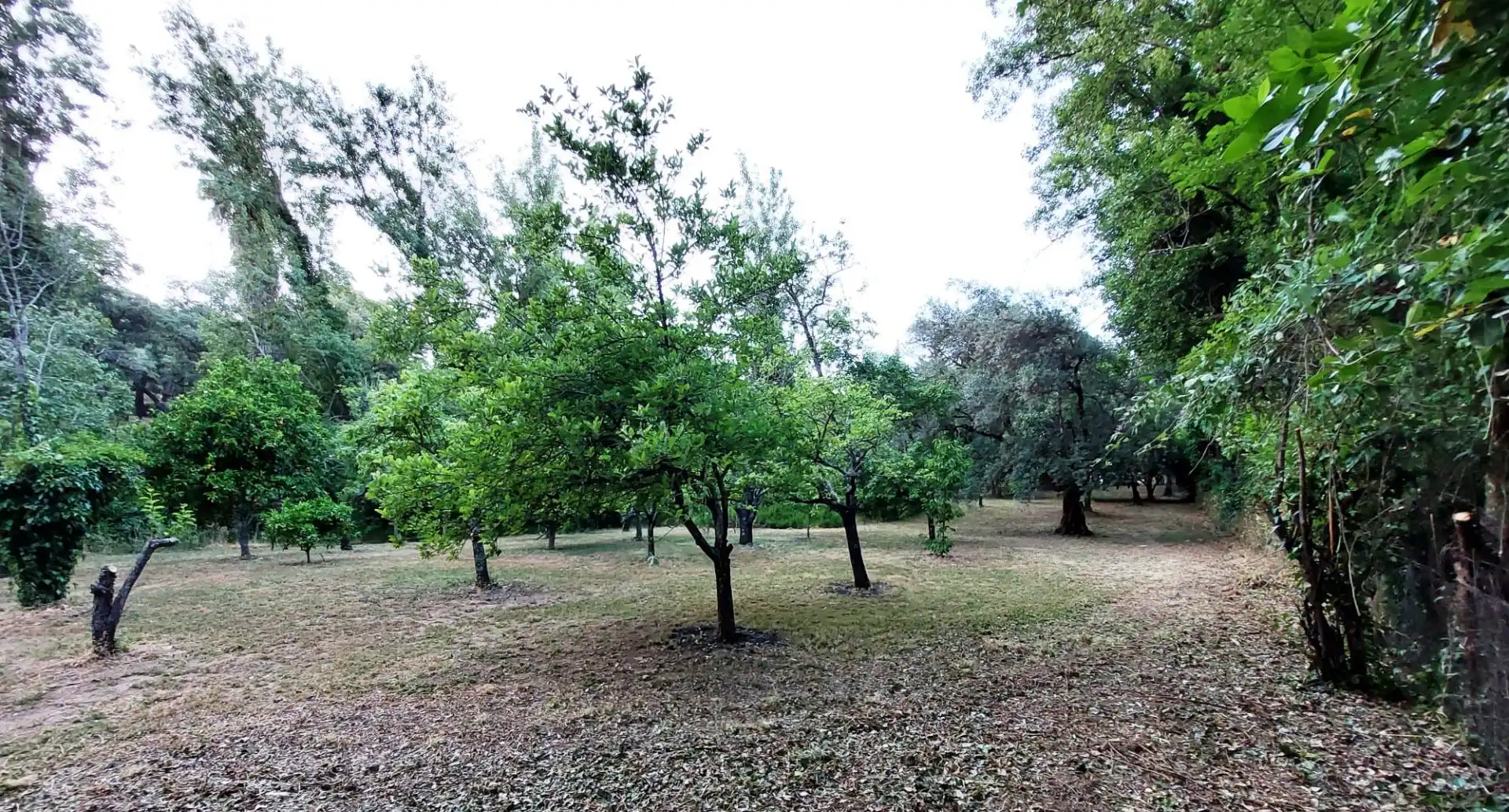 Casa o chalet en venta en Santa Ana la Real con Jardín privado, Terraza y Trastero