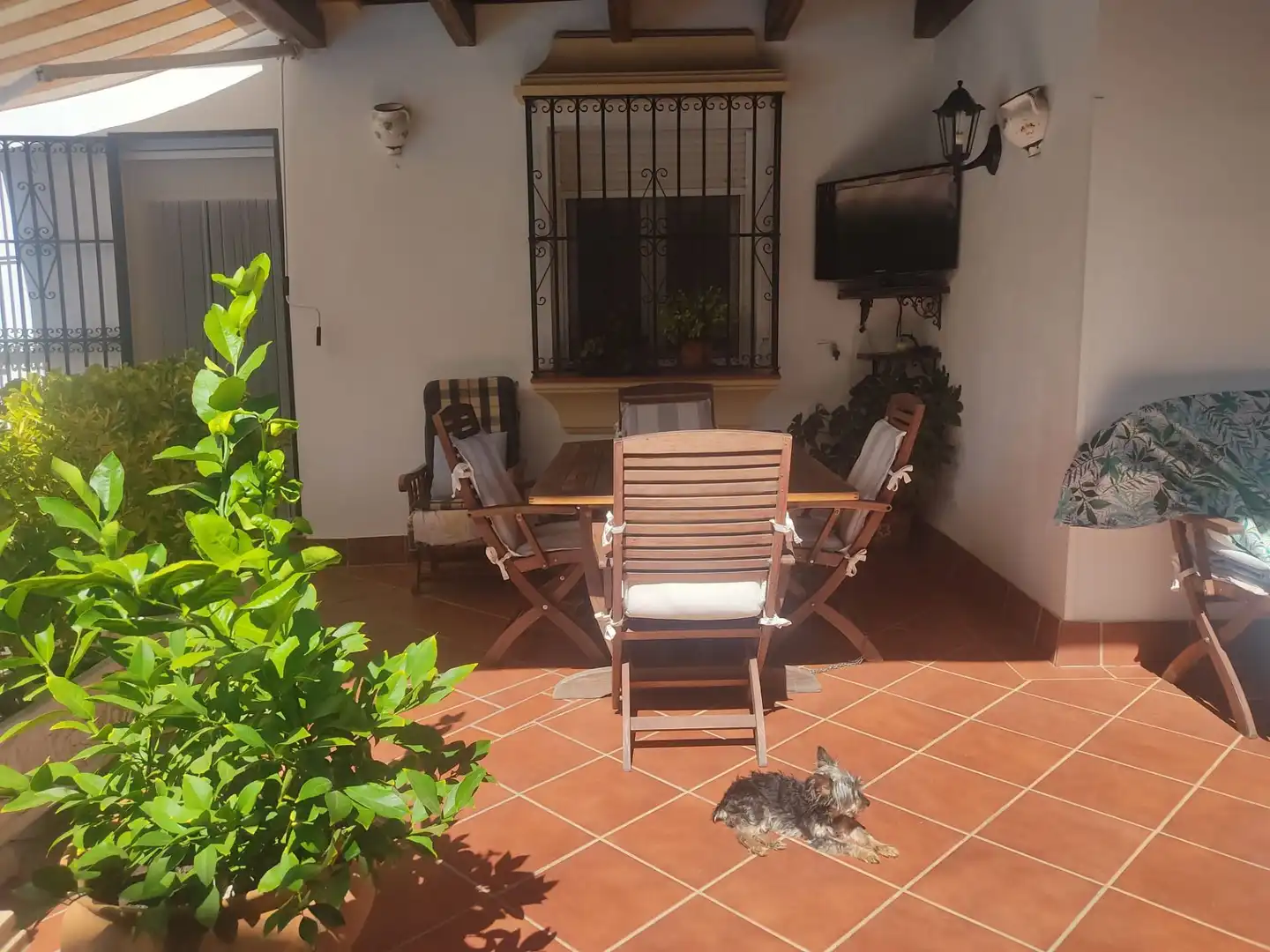 Terraza de Casa o chalet de alquiler en Ronda con Aire acondicionado, Calefacción y Jardín privado