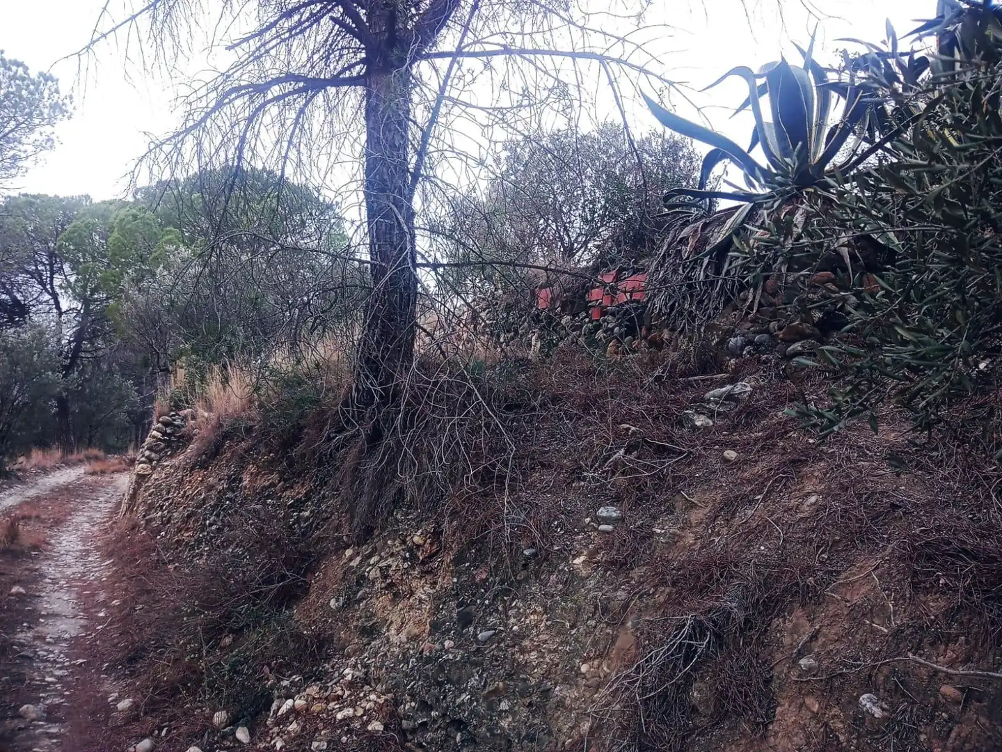Land for sale in Olesa de Montserrat