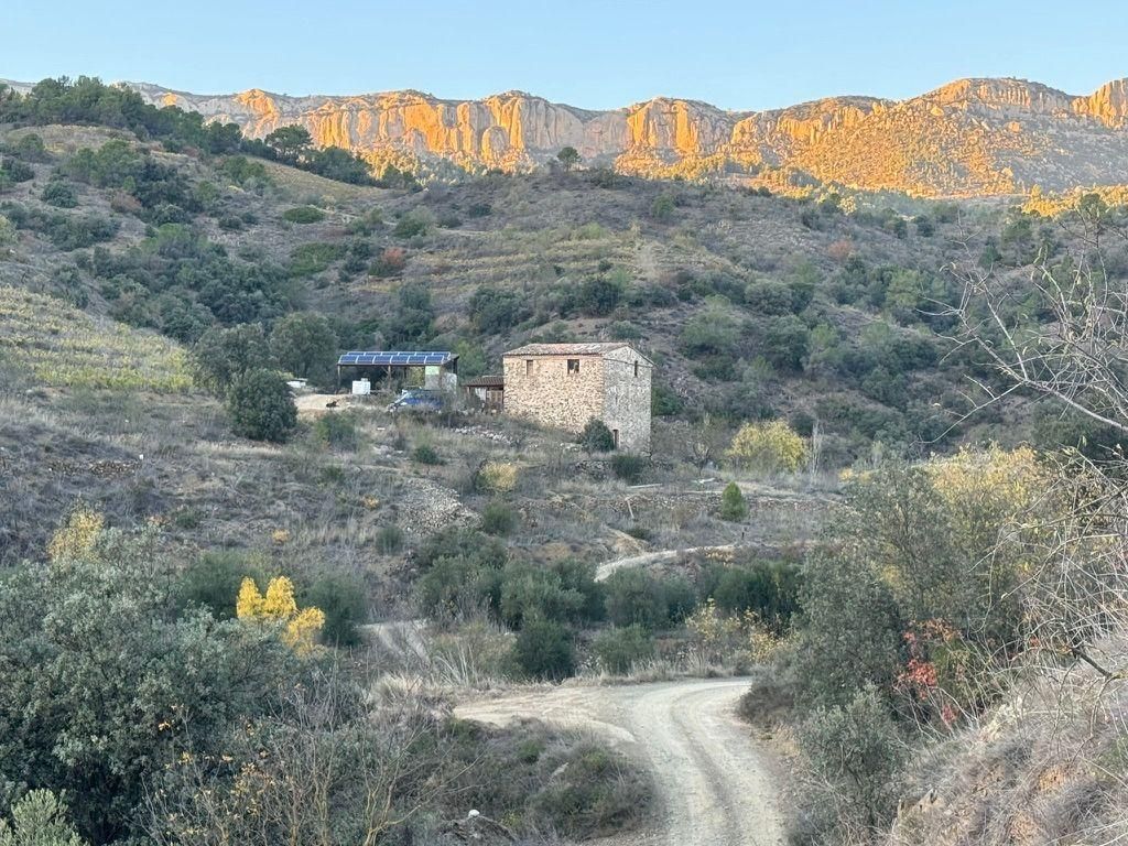 Exterior view of House or chalet for sale in Poboleda