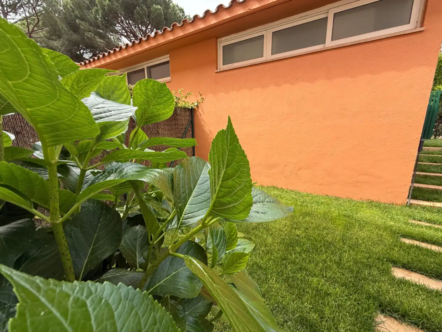 Jardín de Casa adosada en venta en Sant Feliu de Guíxols con Jardín privado, Terraza y Balcón