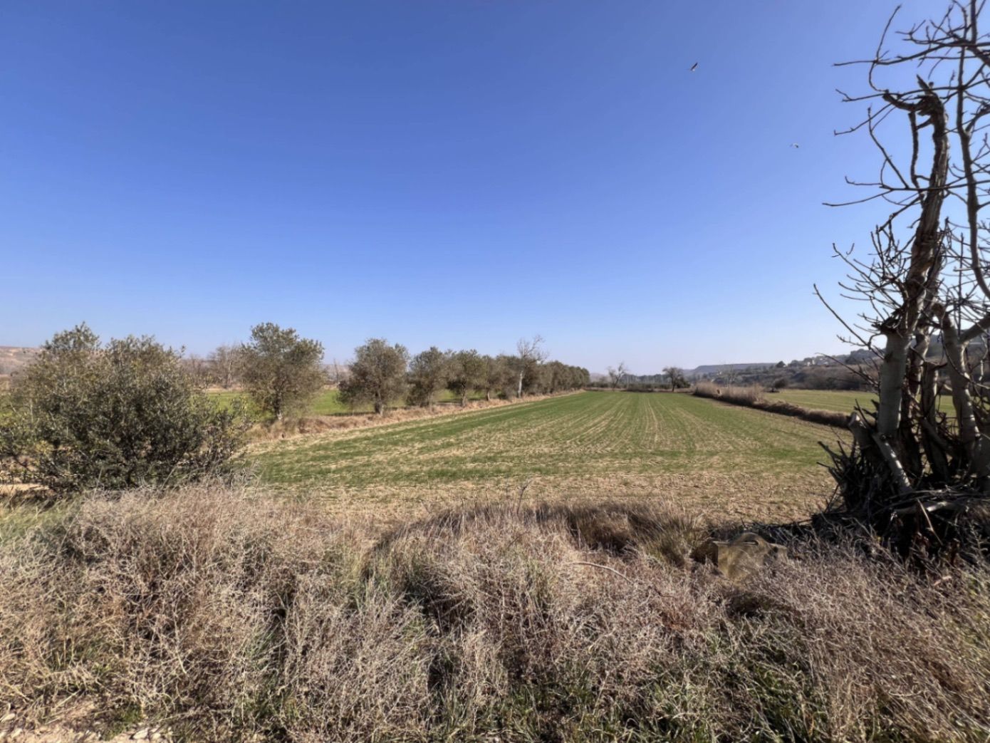 Residencial en venda en Ontiñena
