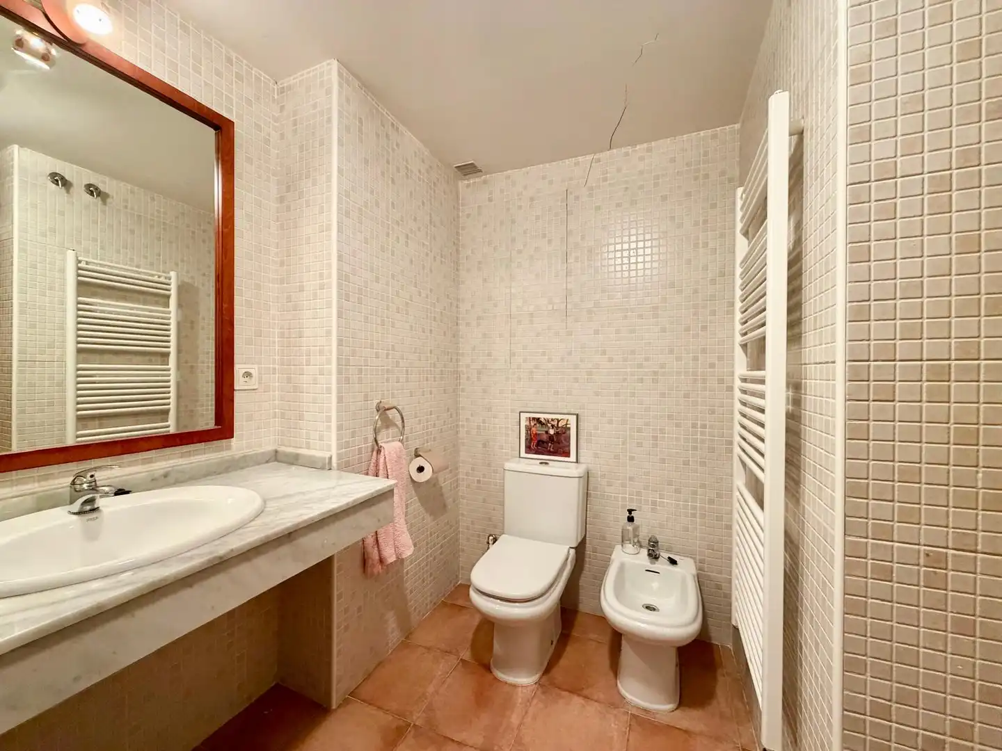 Bathroom of Flat for sale in Vielha