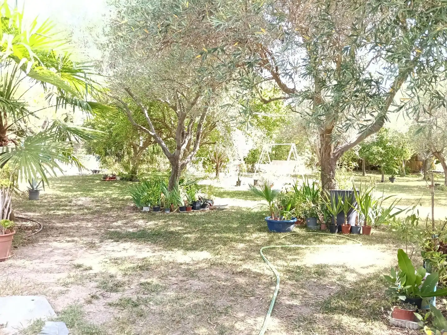 Villa mit Pool zum Verkauf in La Romana, imagen 31